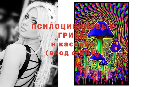 герыч Вязьма