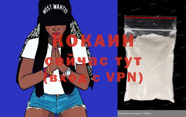 дурь Вяземский