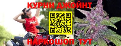 a pvp Гусь-Хрустальный