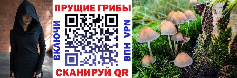 Псилоцибиновые грибы GOLDEN TEACHER  Муром 