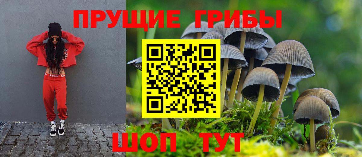 Псилоцибиновые грибы MAGIC MUSHROOMS  Вход с VPN  Муром  Псилоцибиновые грибы Cubensis 