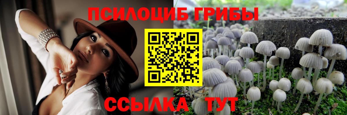 Псилоцибиновые грибы MAGIC MUSHROOMS Муром
